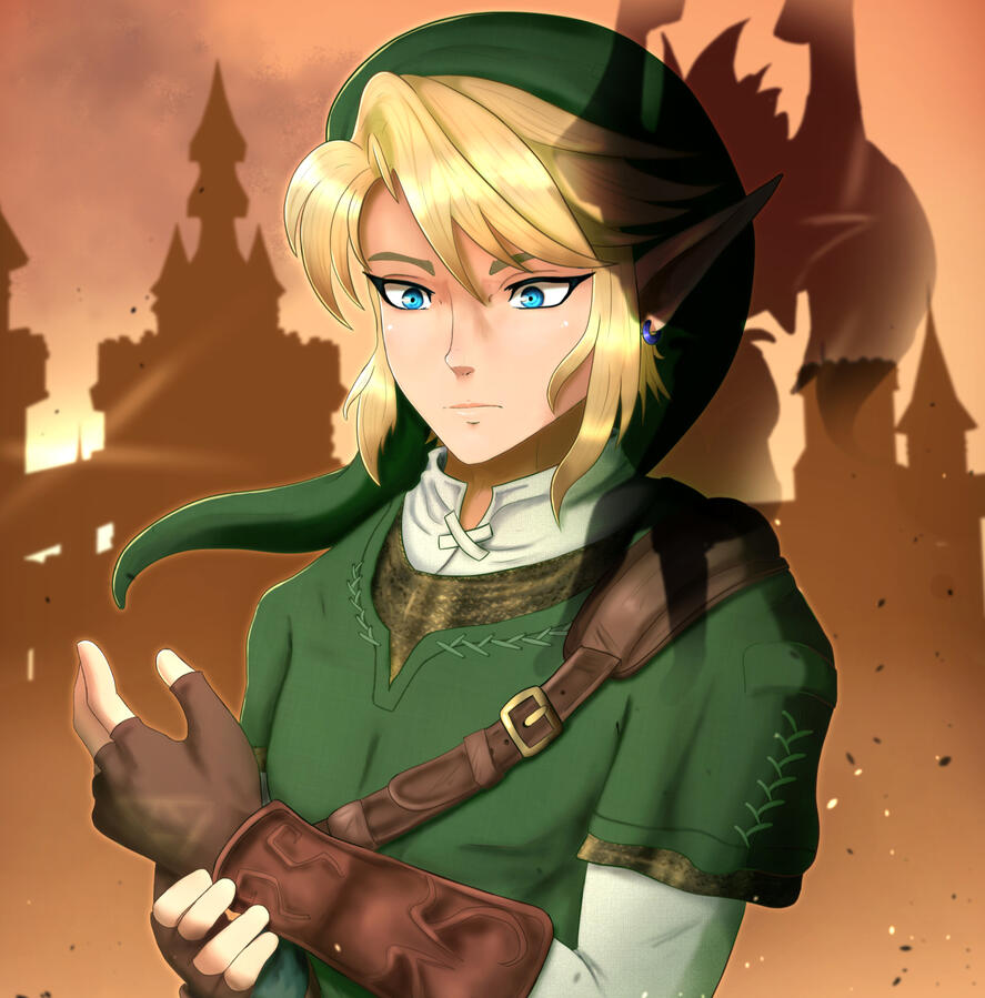 Twilight Princess Link
